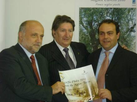 Stand Città dell’Olio presente a Tipica ad Ancona in occasione della Tappa finale di Girolio – tutte le regioni olivetate d’Italia erano rappresentate da una campionatura dei migliori oli prodotti dal loro territorio.