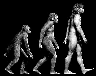 Il percorso evolutivo secondo Darwin