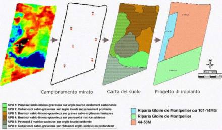 Figura.2 â€“ Schema di campionamento mirato e di redazione della carta del suolo sulla base delle aree omogenee identificate  mediante  metodo ARP.