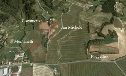 Foto aeree Google Earth degli appezzamenti indagati