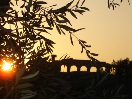 L'antica cittÃ  di Volubilis tra gli ulivi