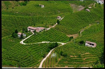 Strada del Prosecco
