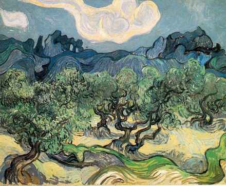 Lo sguardo di Van Gogh sugli olivi