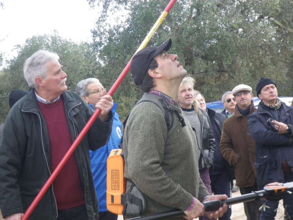 Attrezzature per potare l'olivo