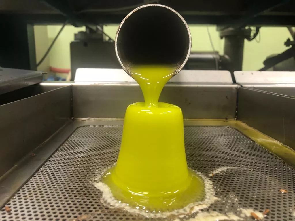 L’olio del papa: Leone XII e il controllo del mercato dell’olio d’oliva nella Roma pontificia