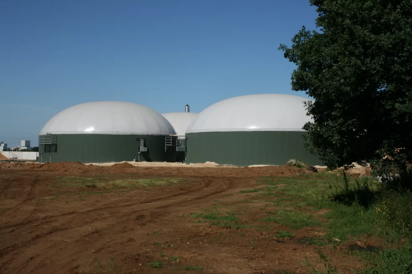 Biogas e biometano, l'olivicoltura andalusa si prepara a una svolta green