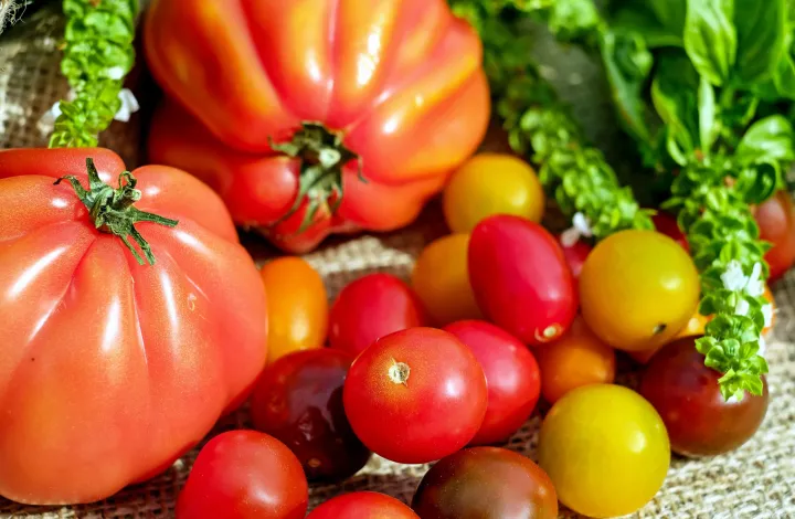 La vitamina A è il segreto della vista perfetta: scoperta della Johns Hopkins