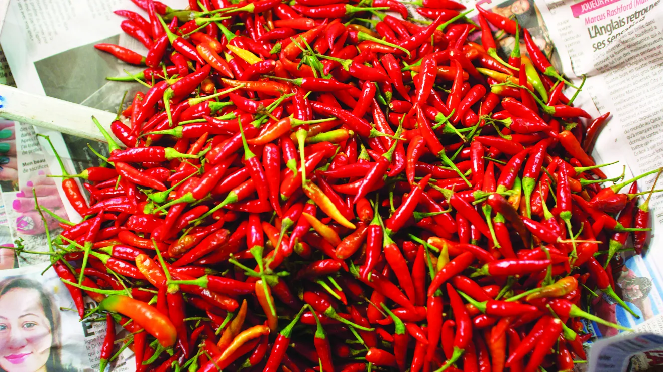 Peperoncino e rischio tumori: cosa dice davvero la scienza