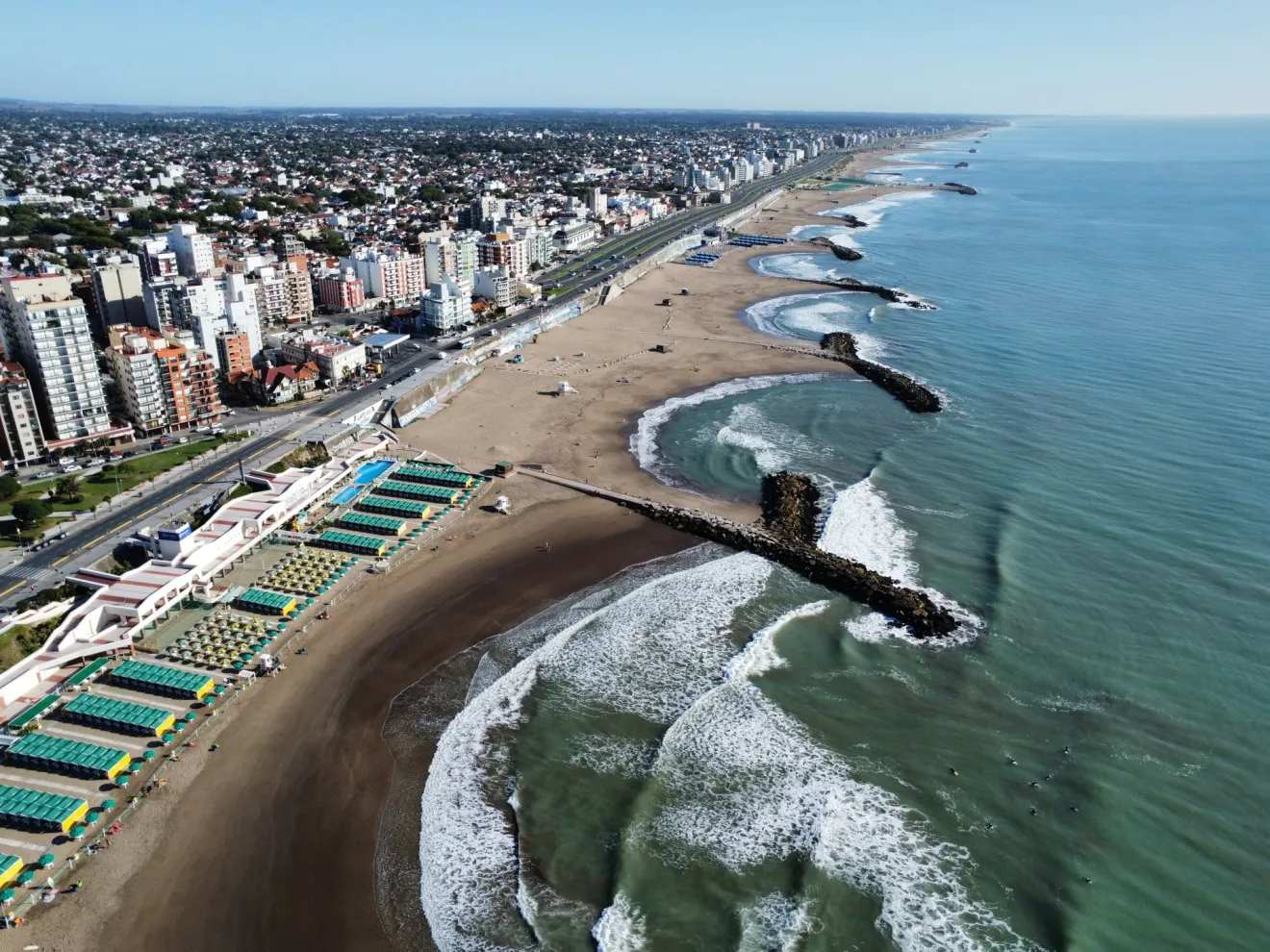 Un mare di olivi a Mar del Plata, in Argentina