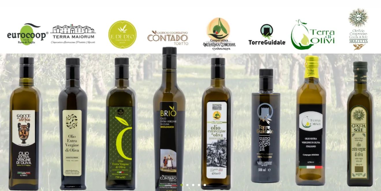 Oliveti Terra di Bari conferma il presidente con una nuova squadra