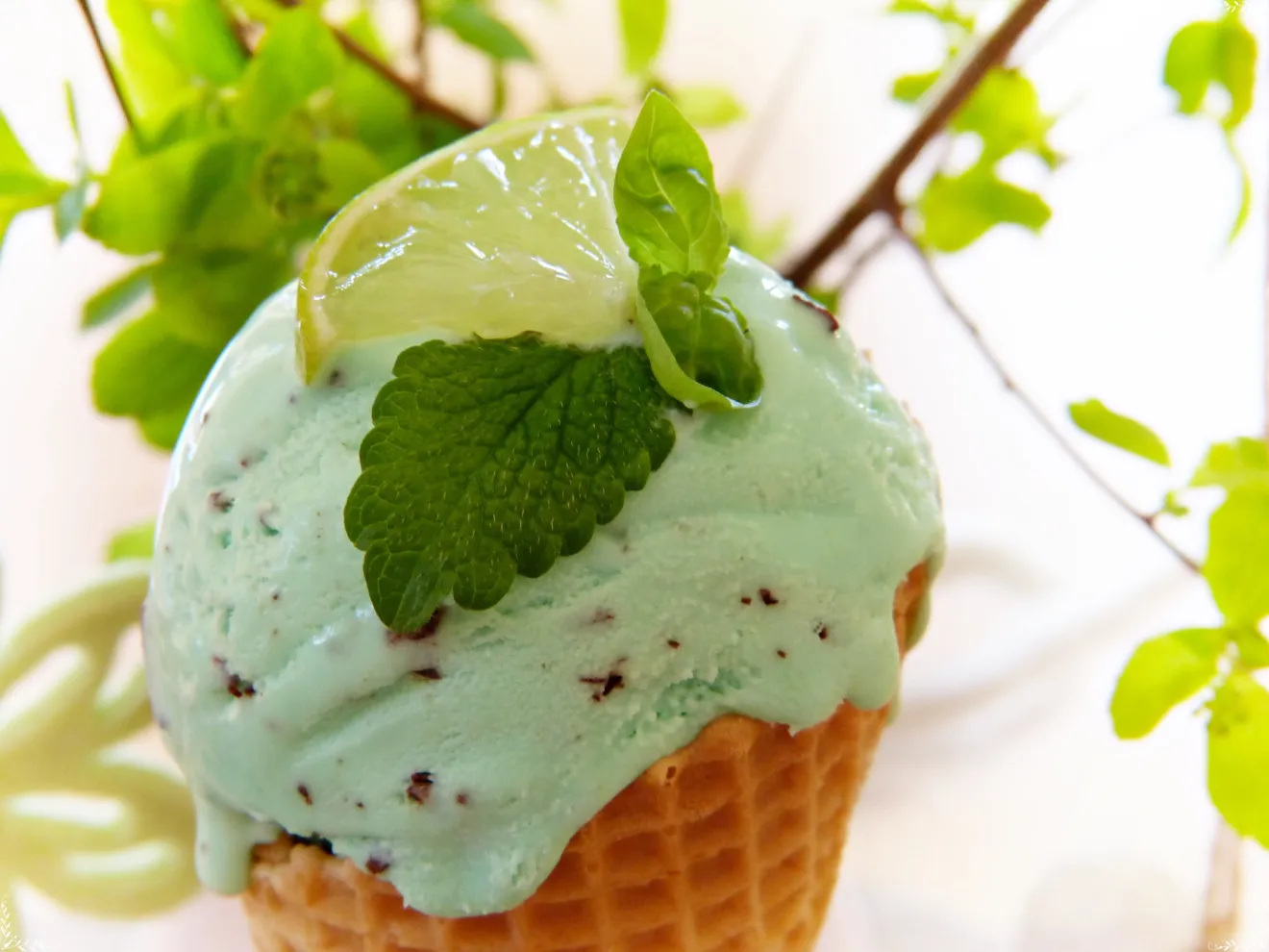 Il gelato sale in cattedra: quando il cono diventa piatto d'autore