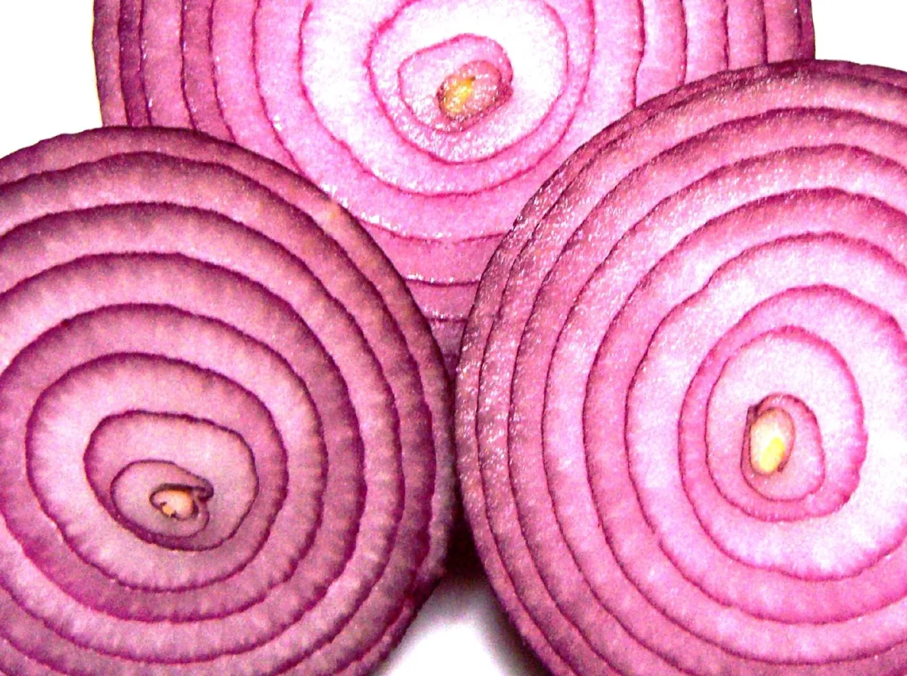 Fibra prebiotica contro il dolore al ginocchio: l'integratore che viene dall'intestino