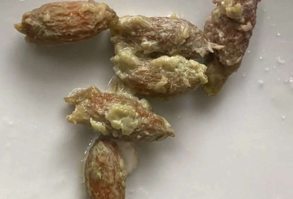 Dai noccioli delle olive, il carburante del futuro: scoperto come trasformare i rifiuti del frantoio in metano verde
