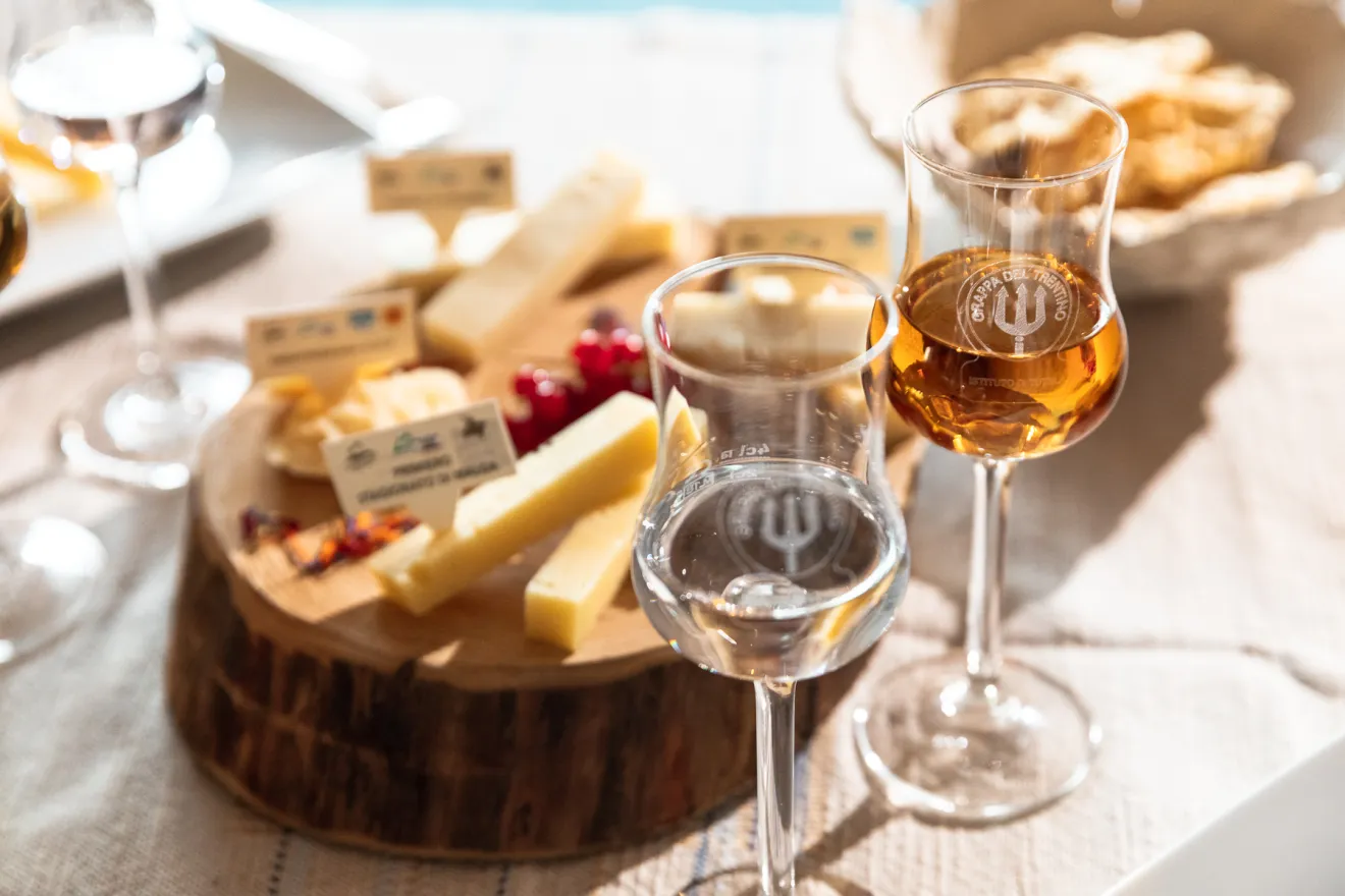 Grappaturismo: le distillerie trentine rafforzano il legame tra produzione, accoglienza e turismo esperienziale
