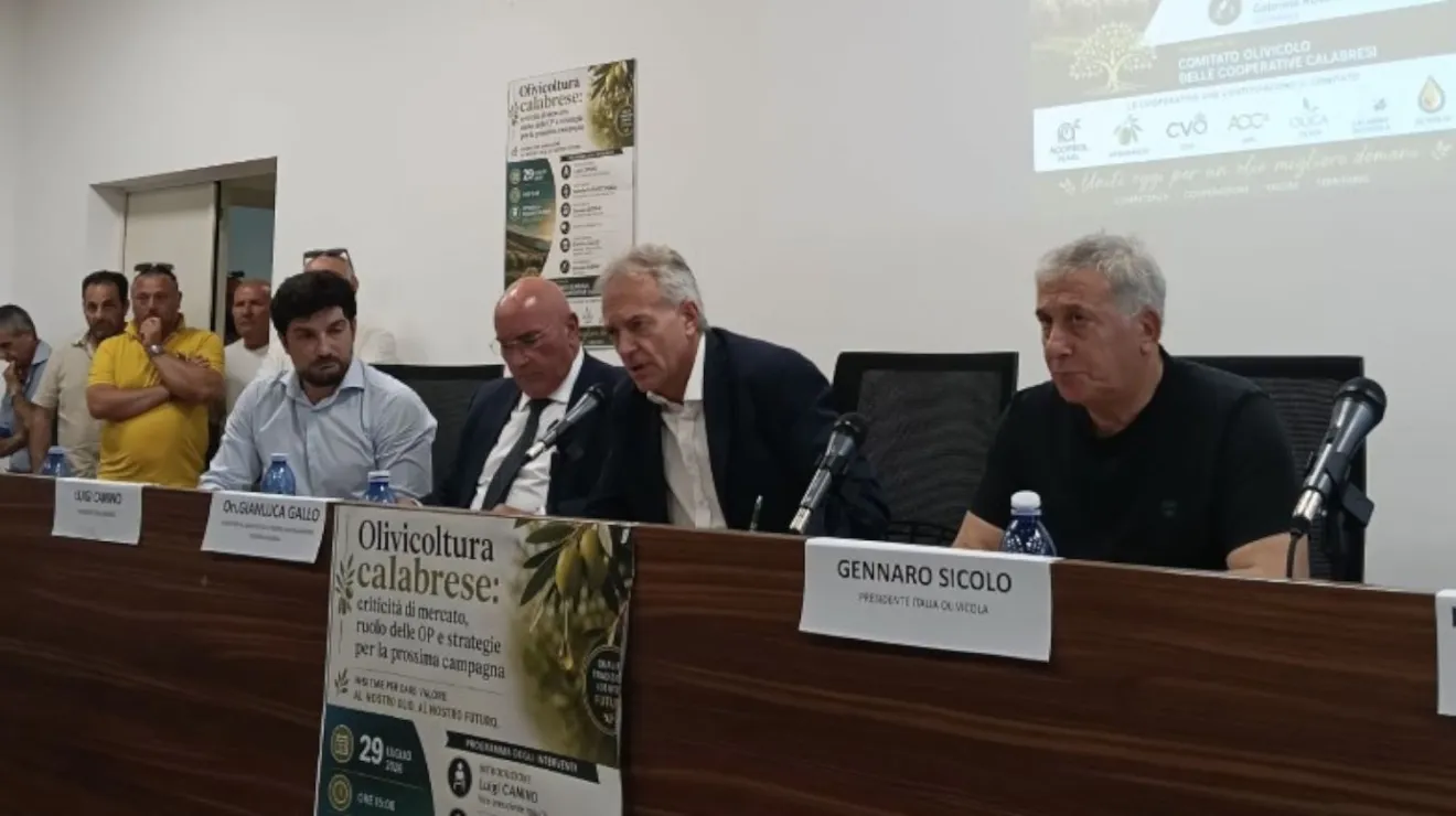 Tutti a Bari, crisi dell’olio, nuova grande mobilitazione nazionale il 19 settembre