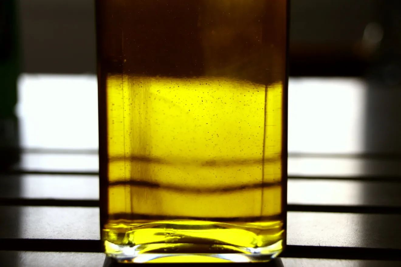 Il prezzo dell’olio di oliva al 4 agosto: extravergine sempre più in basso in Italia e Spagna