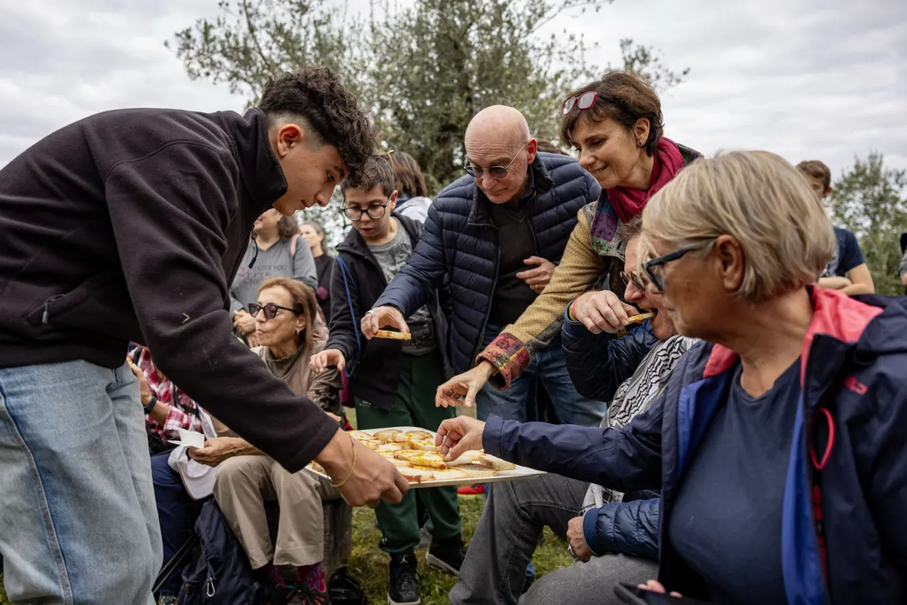 Frantoi Aperti® in Umbria 2026: la 29^ edizione dal 17 Ottobre al 15 Novembre 2026