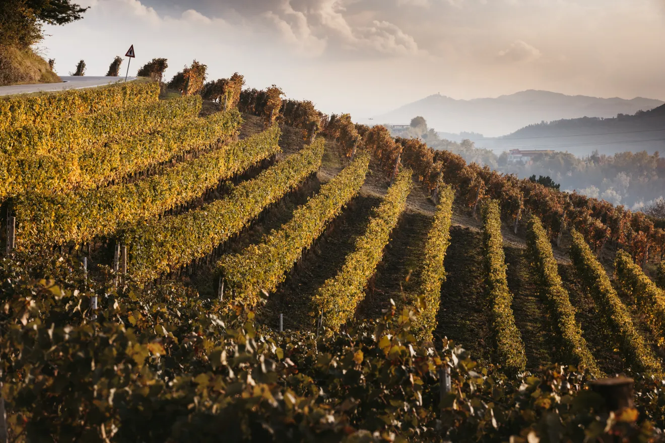 The World's 50 Best Vineyards 2026, Santiago del Cile ospiterà la cerimonia di premiazione