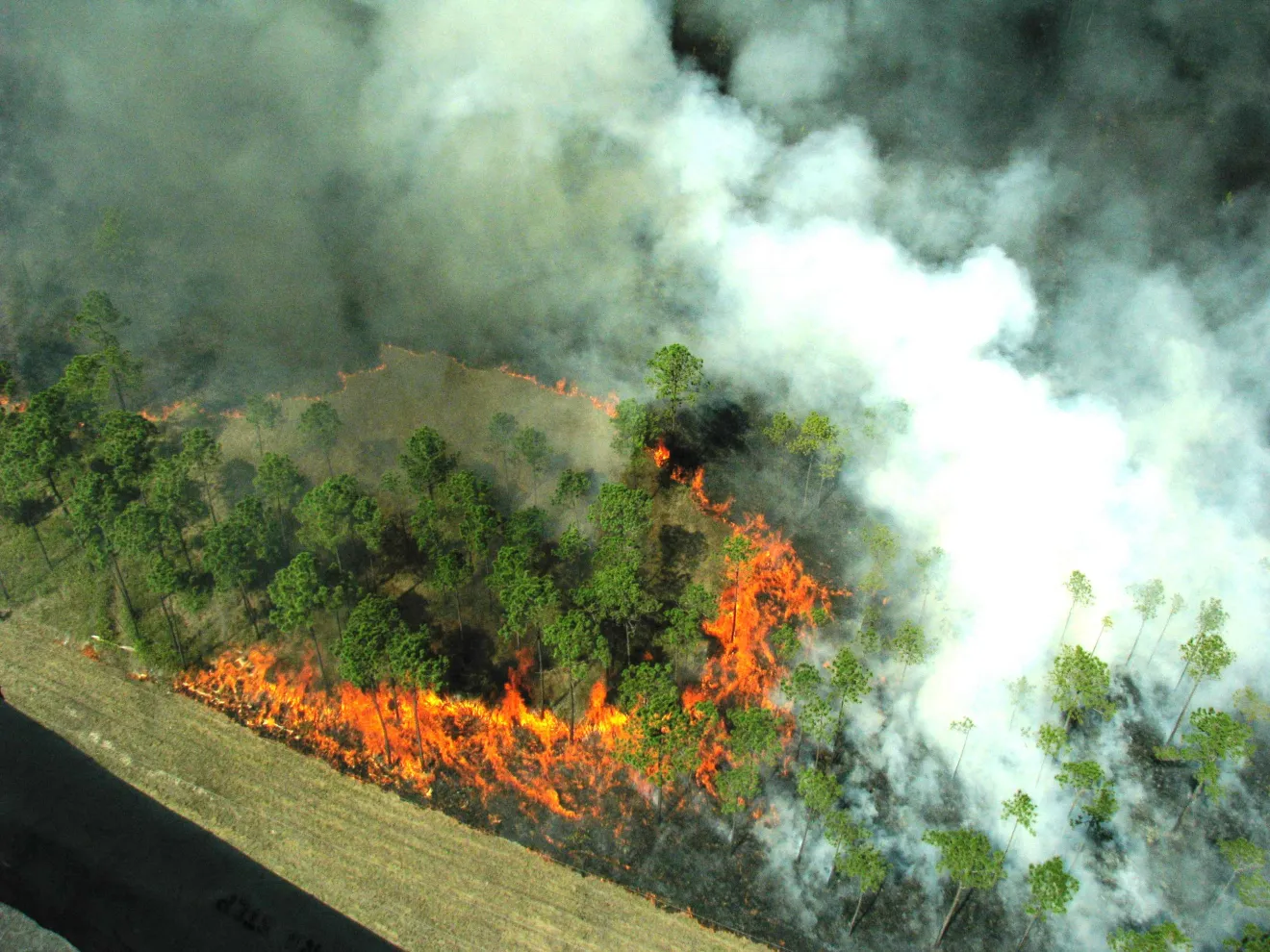 Emergenza incendi, serve un monitoraggio degli effetti