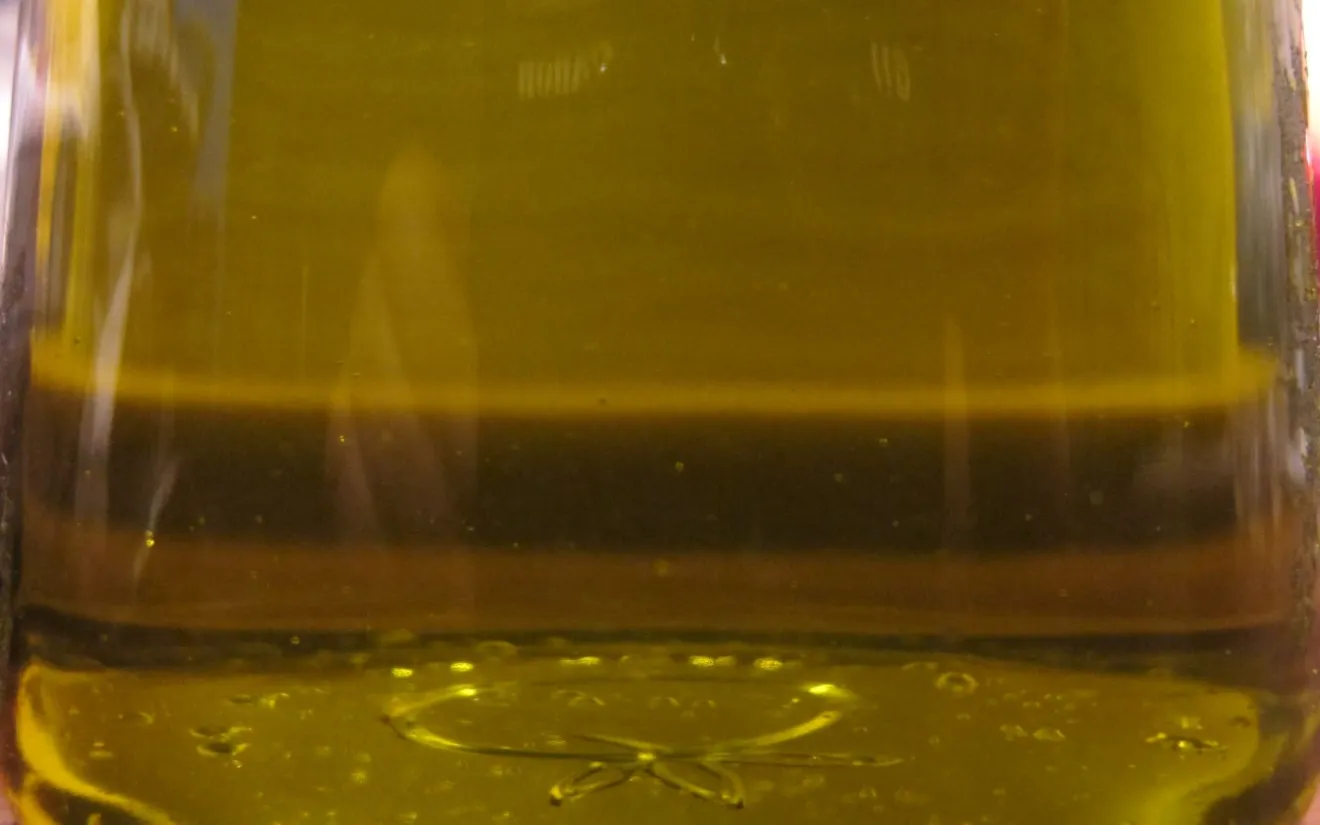 Export greco di olio d’oliva in caduta: -18,5% nel primo semestre