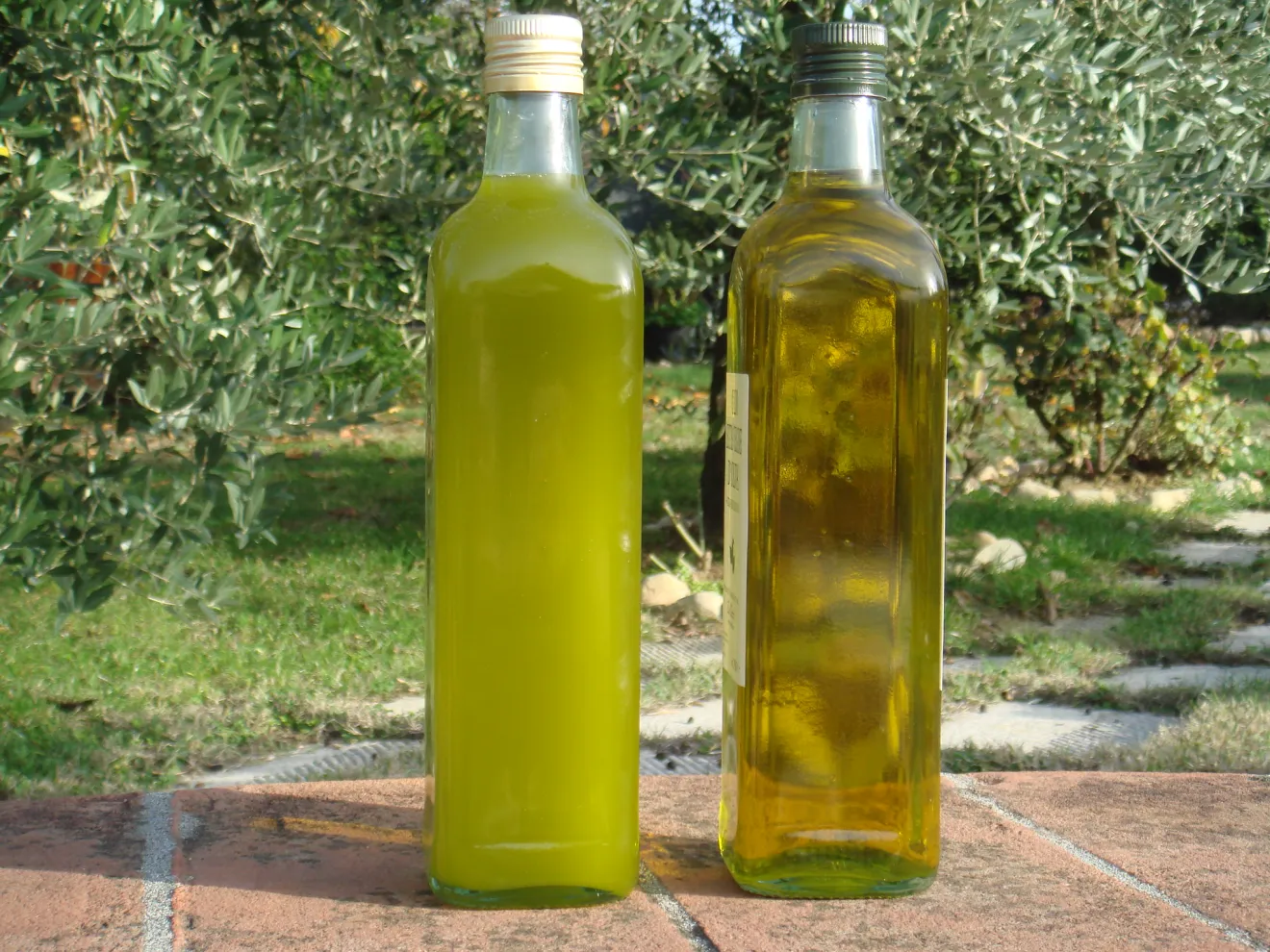 Olio d'oliva: un mercato in evoluzione tra salute, sostenibilità e tradizione