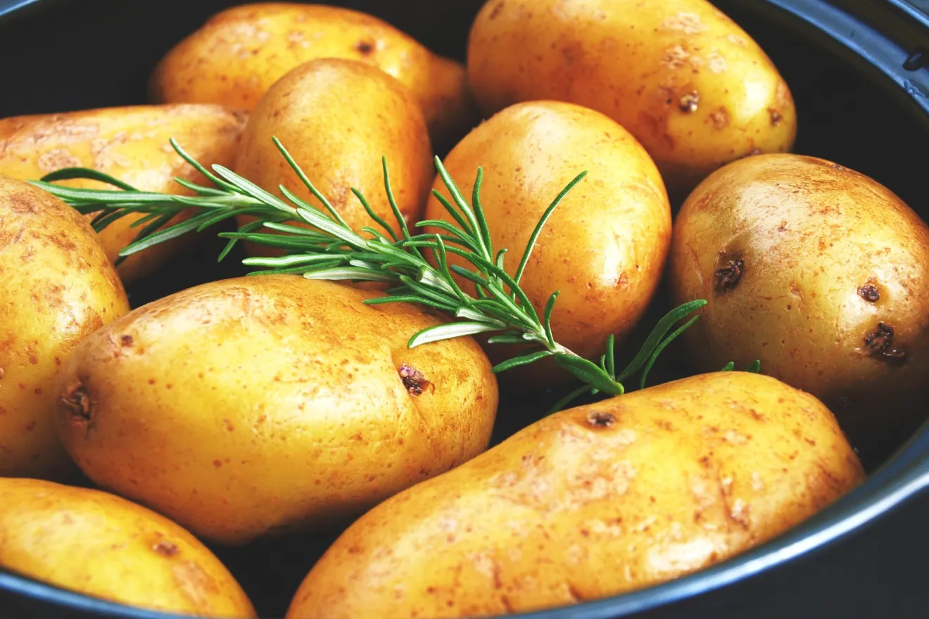 Patate, la dieta che potrebbe aver cambiato il DNA delle popolazioni andine