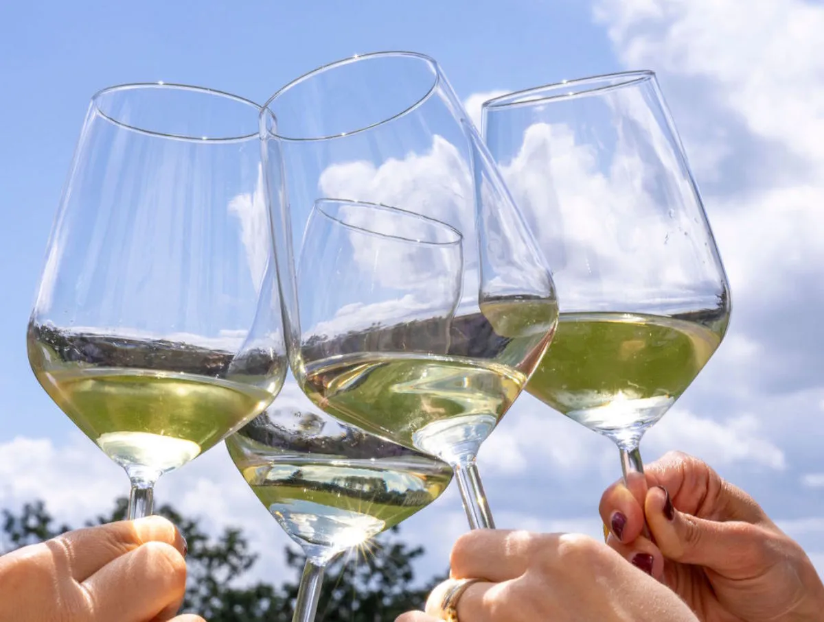 Enoturismo, l’estate italiana guarda sempre più dal mare alle vigne