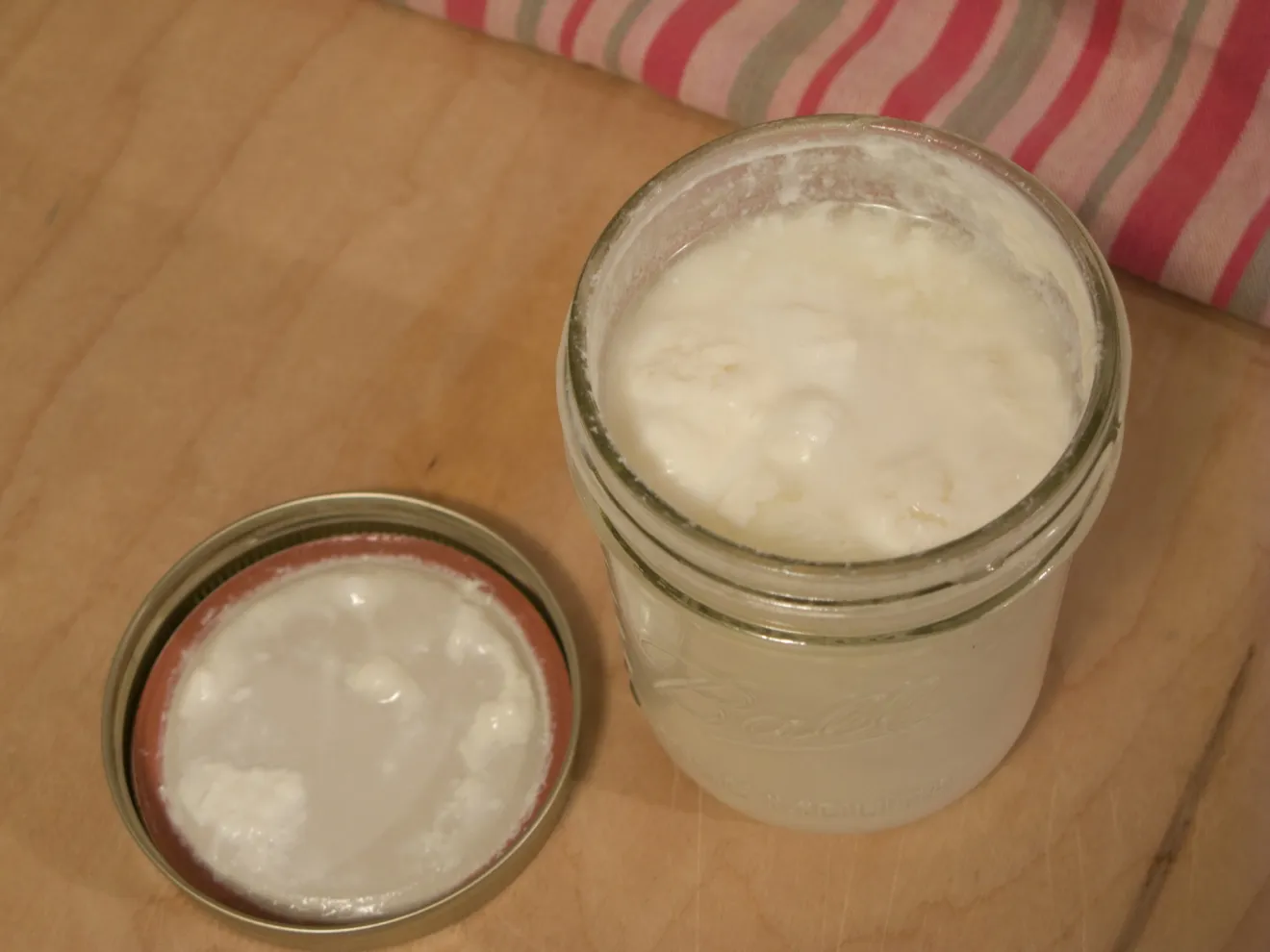 I lieviti del kefir, alleati del microbiota intestinale