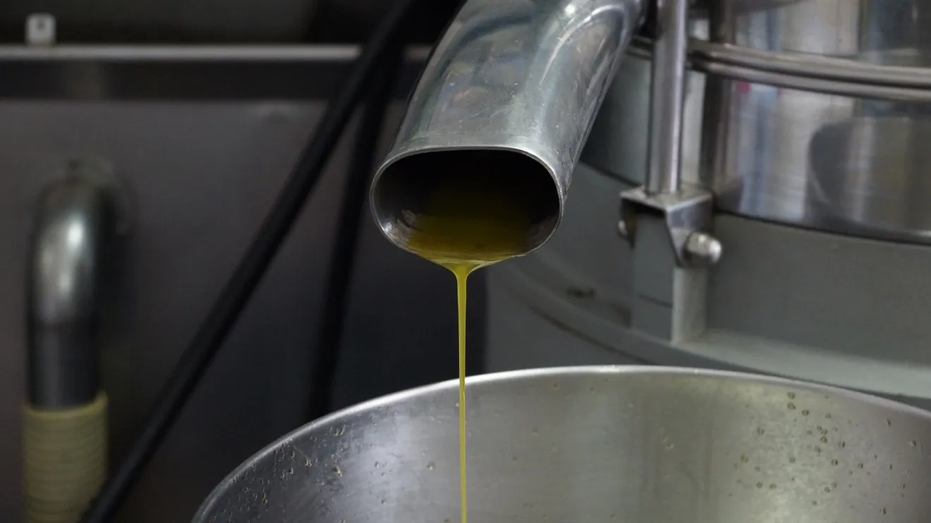 Il prezzo dell’olio di oliva al 25 agosto: si stabilizza il mercato in Spagna, immobile in Italia