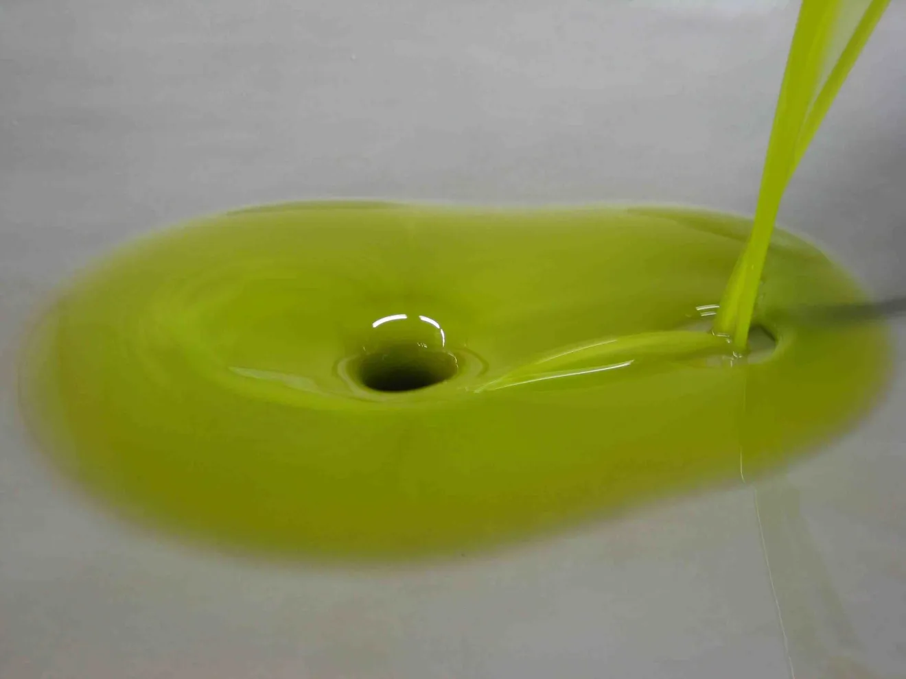 Sempre più Spagna e meno Italia per l'olio di oliva tunisino