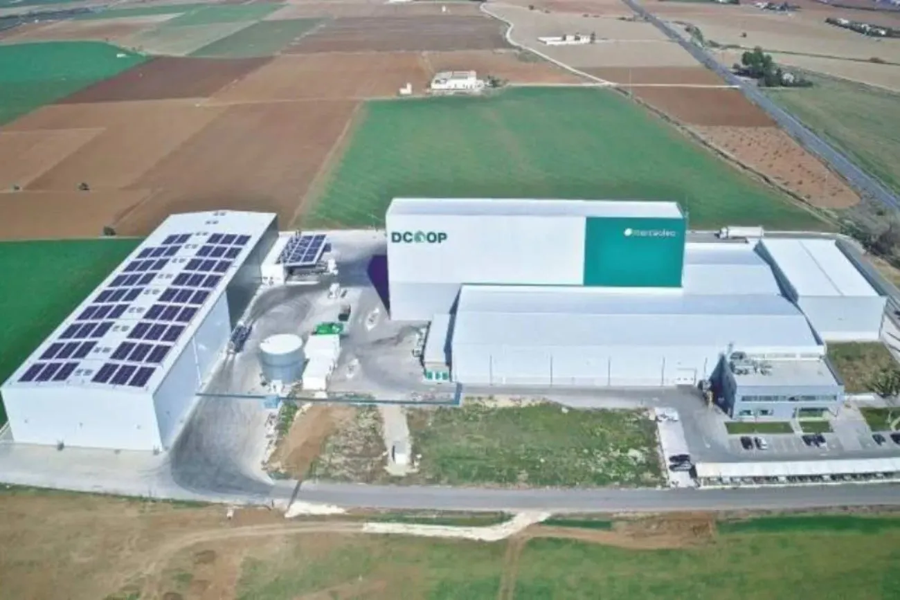 Dcoop, il gigante cooperativo dell’olio d'oliva guarda sempre più ai mercati