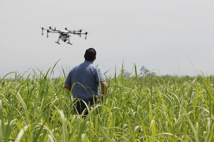 Innovazione in agricoltura solo se fa rima con identità