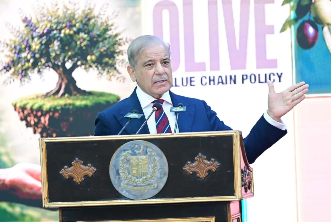 Pakistan e Italia insieme per l’olio d’oliva