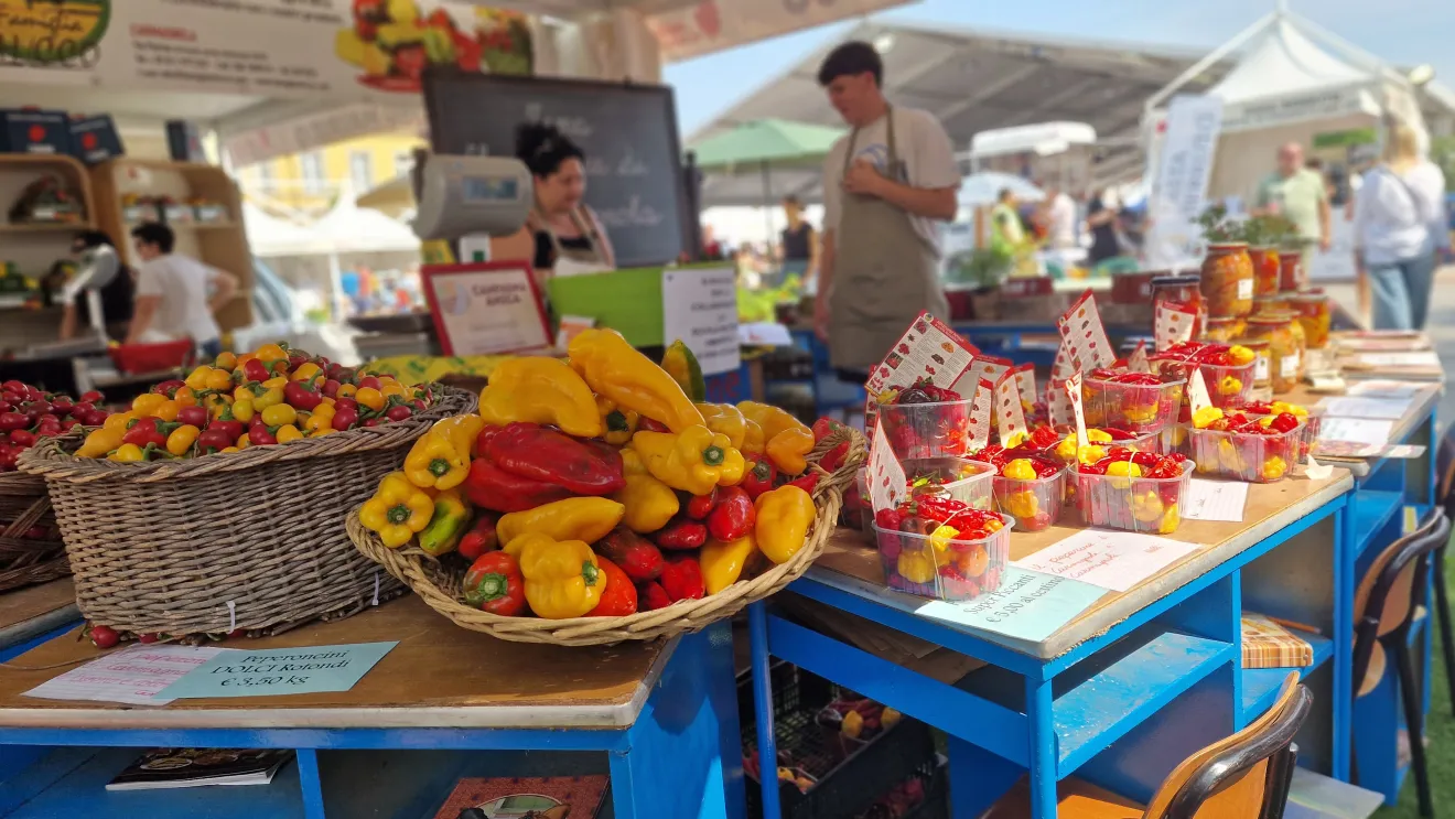 Il Peperone di Carmagnola, tra storia e gastronomia
