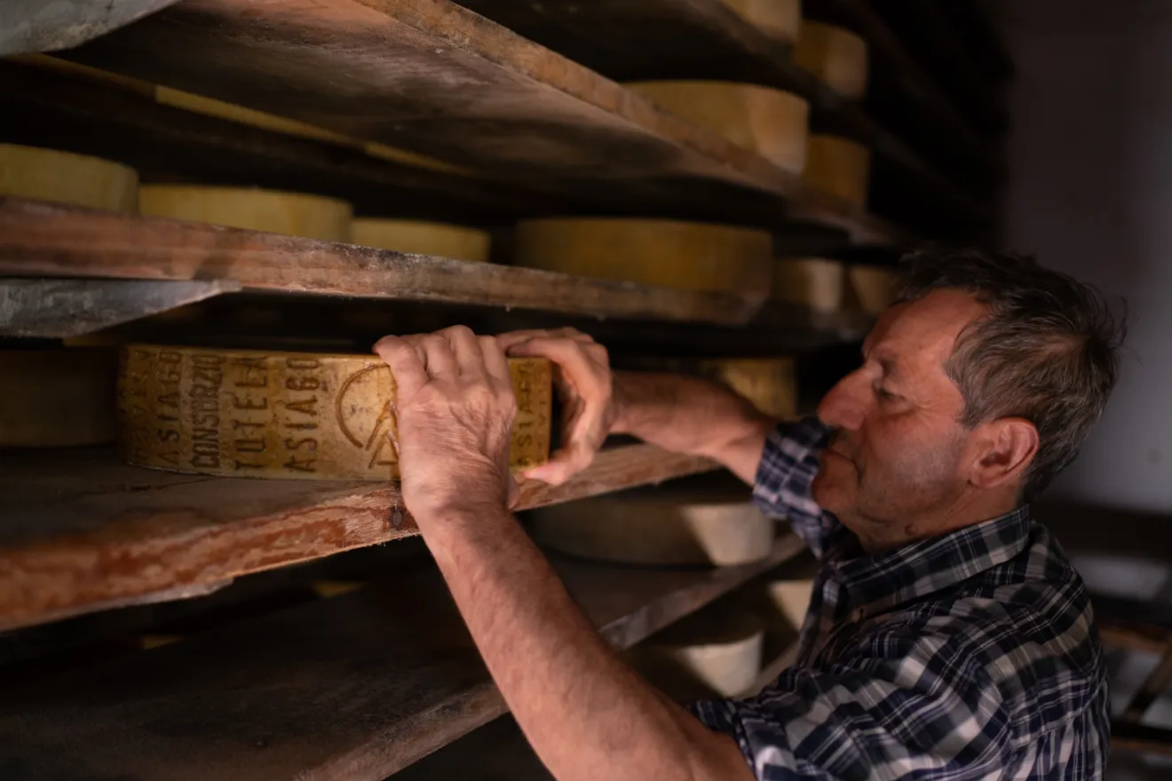 L’Asiago DOP Prodotto della Montagna: scoprirne il gusto