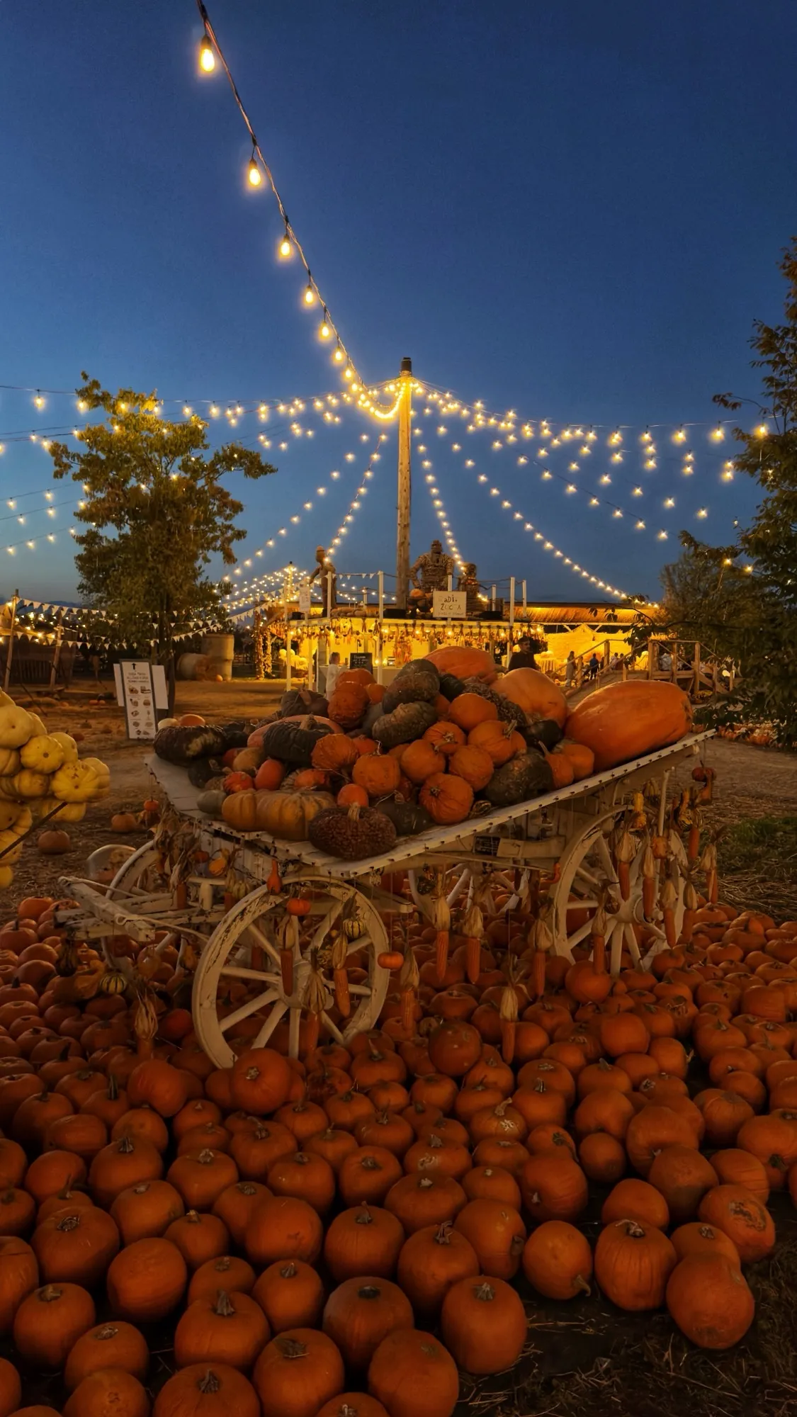 Villaggio delle zucche di nonno Andrea: la magia dell'autunno in campagna