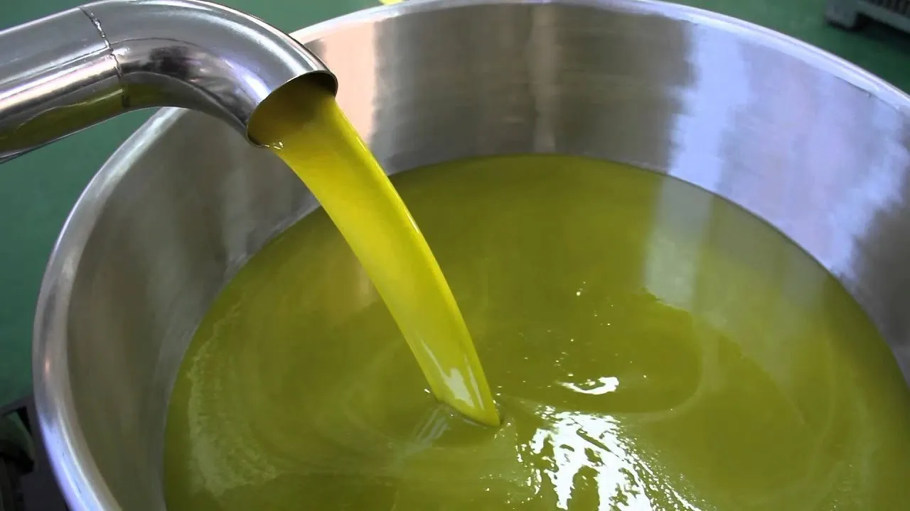 Olio d’oliva di qualità superiore: la rivoluzione dell’hydrocooling nel pre-condizionamento delle olive