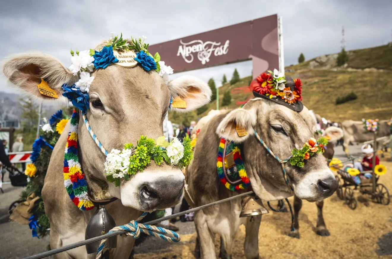 Settembre in Valtellina: il “back to” all’insegna del benessere
