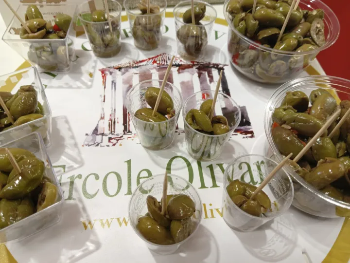 Ercole Olivario – Sezione Olive da Tavola 2026: al via la VI edizione del concorso nazionale