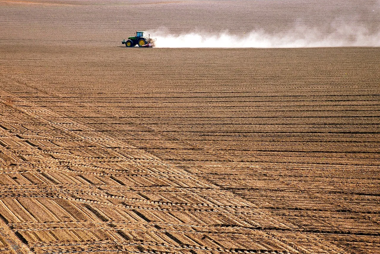 Fabbisogni di innovazione digitale in cinque filiere toscane: l’esperienza del progetto Prodigia