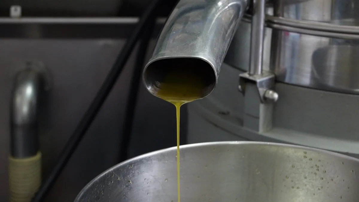 La rivoluzione sostenibile dell’estrazione dell’olio d’oliva, dall'estrazione per pressione all'anidride carbonica supercritica