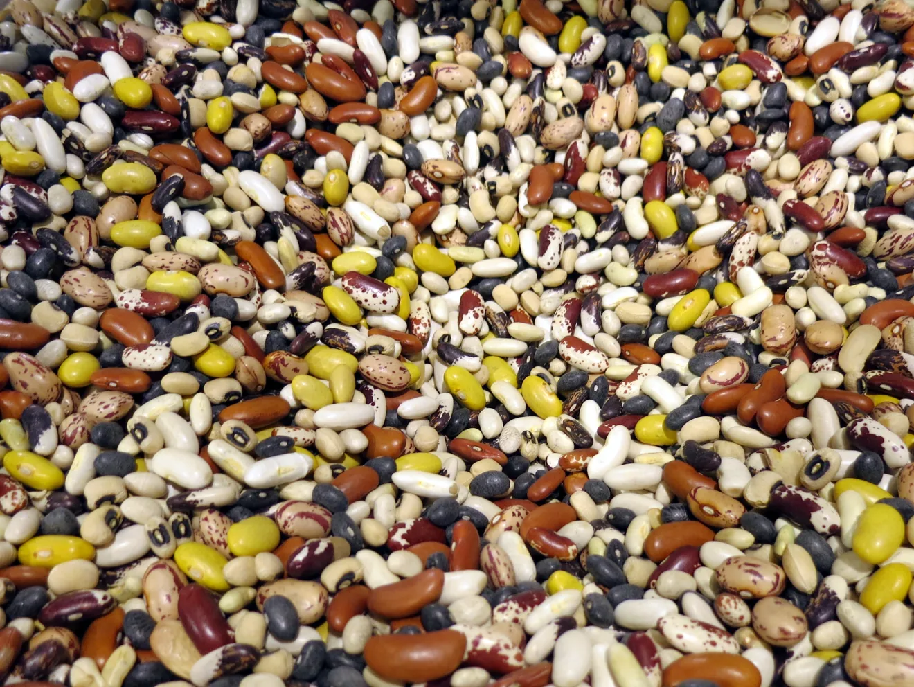 Prezzi alimentari mondiali in rialzo ad agosto: il clima torna a far paura