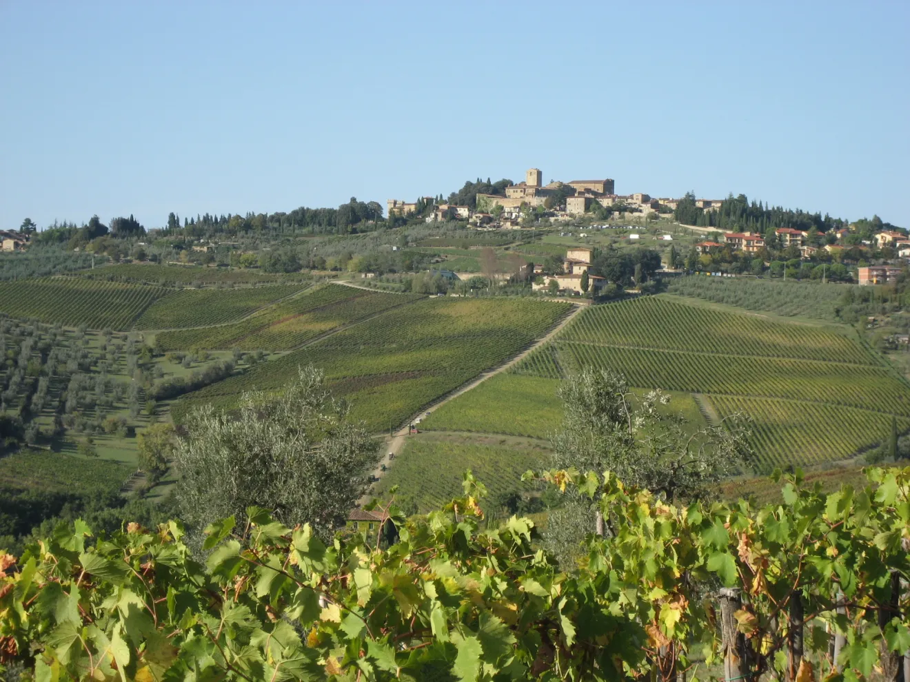 Montefioralle DiVino: il vino incontra uno dei borghi più belli del Chianti