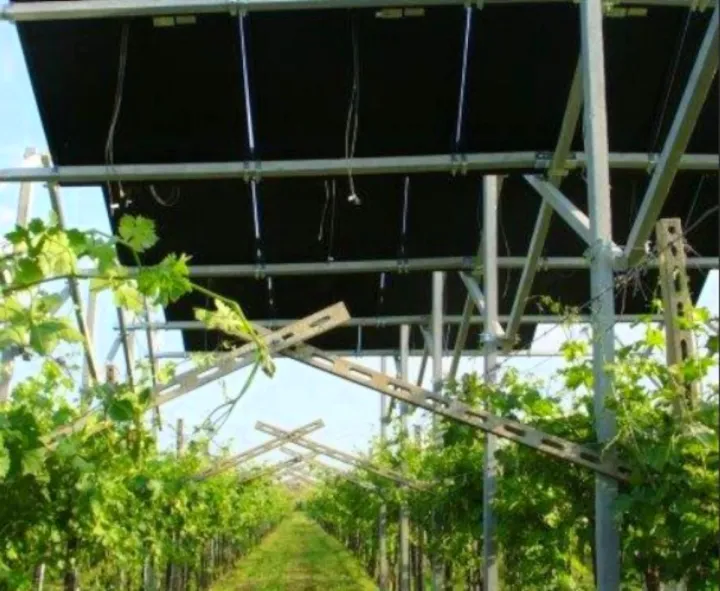 Agrivoltaico utility: un’analisi costi-benefici per il sistema Italia