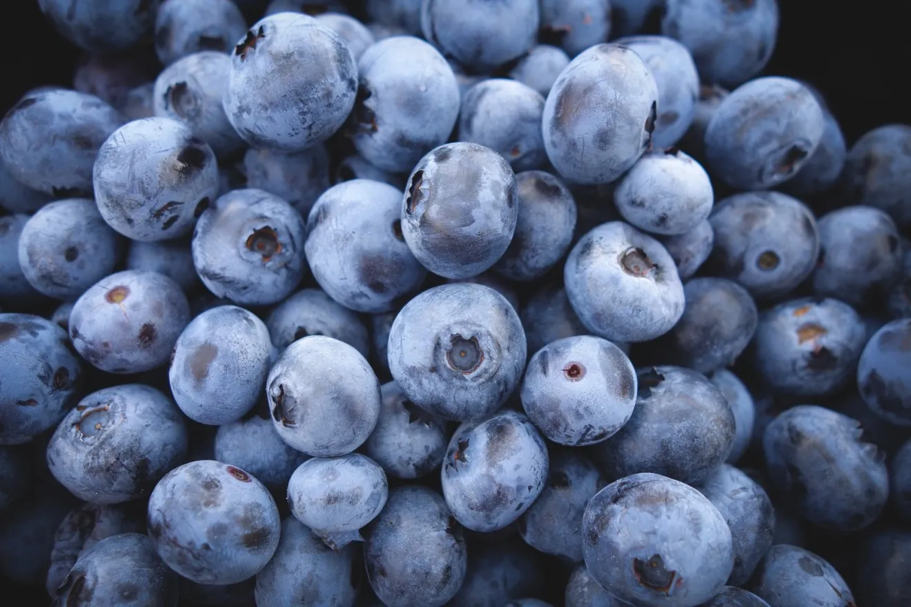 Pterostilbene, il composto di mirtilli e uva che aiuta le cellule muscolari a smaltire i grassi