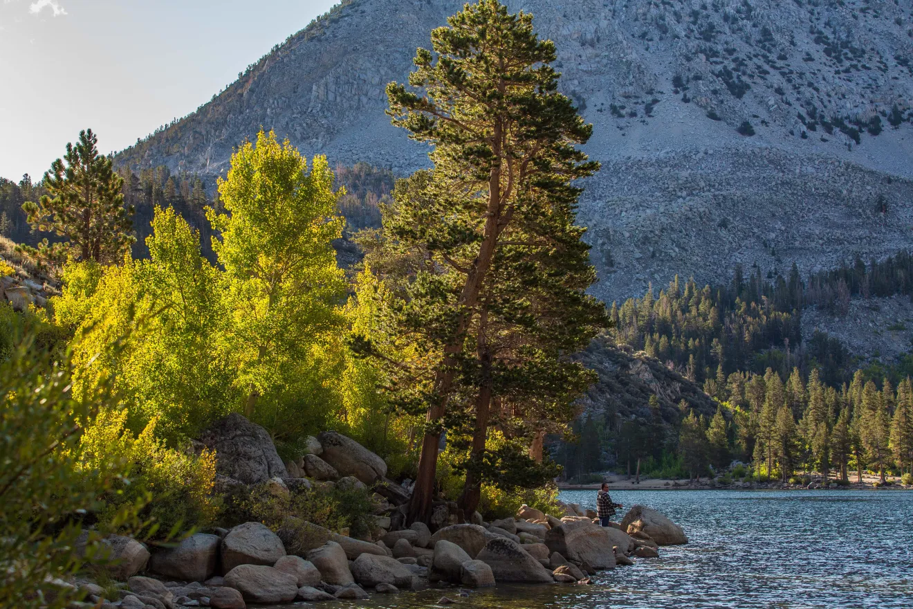 Lo spettacolo del foliage a Mammoth Lakes: La Eastern Sierra californiana si tinge d’oro