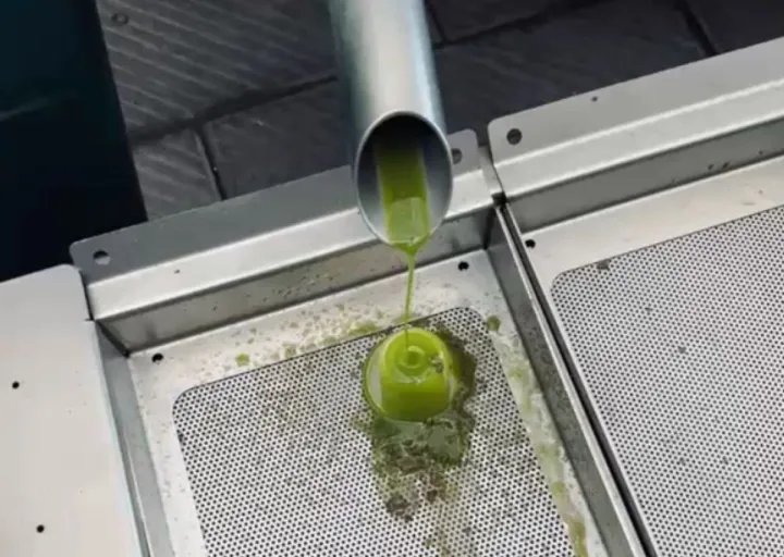 Il primo olio extravergine di oliva di stagione al corso AIRO