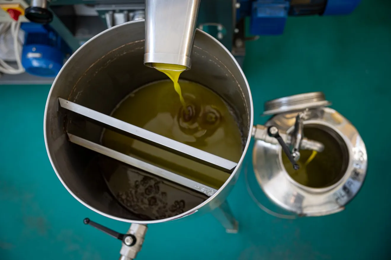 Olio extravergine d'oliva, il commercio intra-Ue rallenta ma resta sopra la media quinquennale