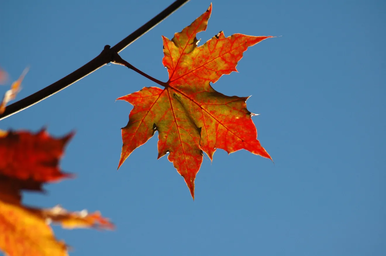 A fine settembre il primo assaggio d’autunno