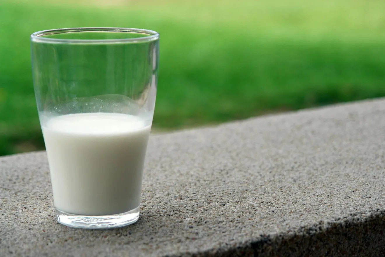 Calcio e vitamina D per le ossa: il reale beneficio per gli anziani